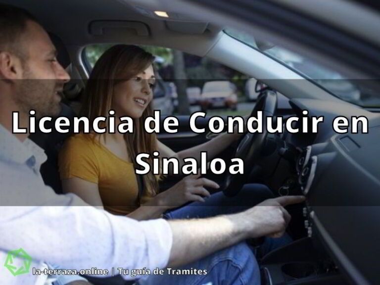 Licencia de Conducir en Sinaloa