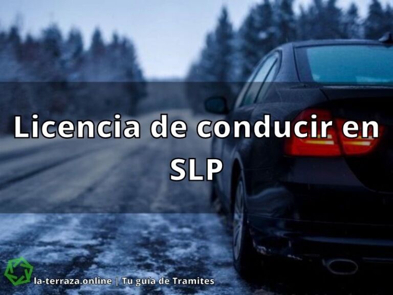 Licencia de conducir en SLP