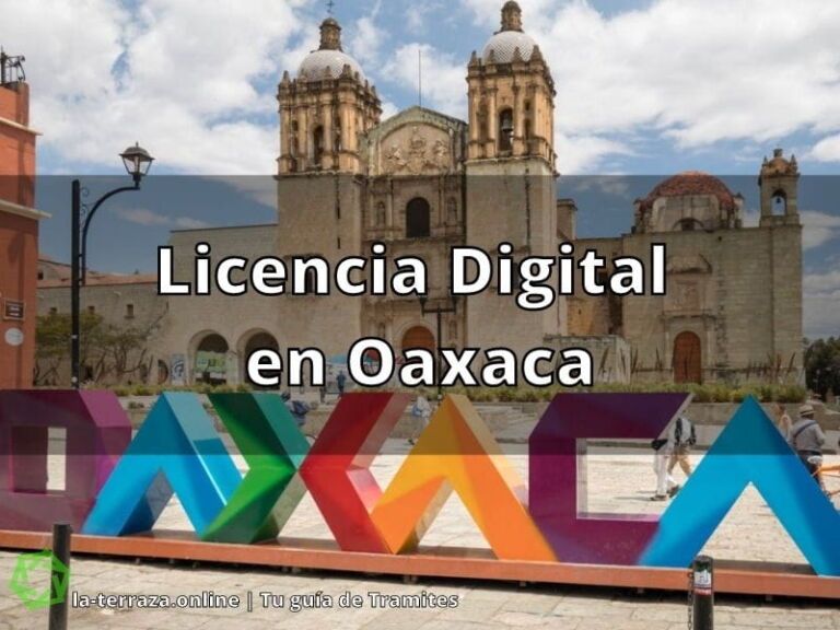licencia digital en Oaxaca